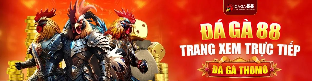 Tin tức trực tiếp đá gà bình luận viên