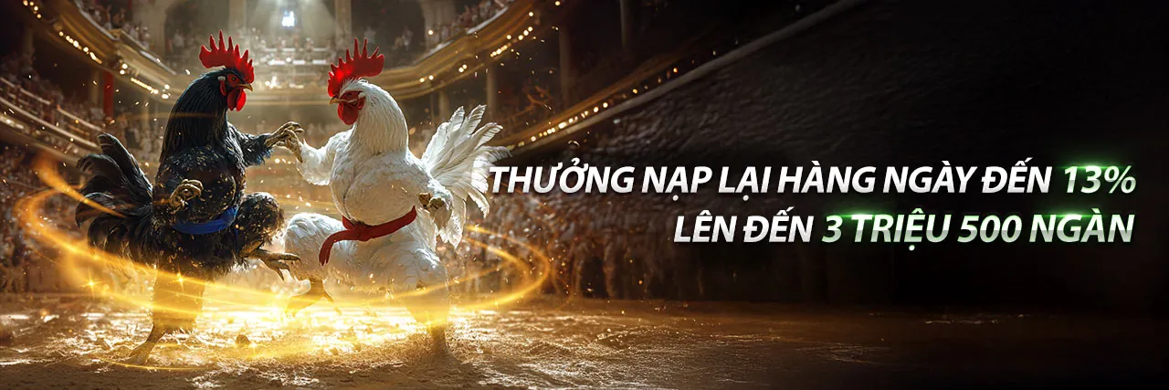 Giao diện đăng nhập an toàn với hình ảnh trực tiếp đá gà bình luận viên